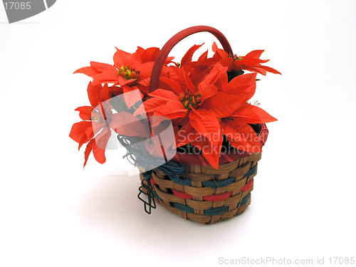 Image of Christmas Basket