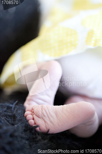 Image of Baby feet