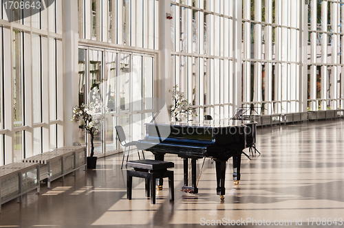 Image of Grand piano in the hall shined by the sun