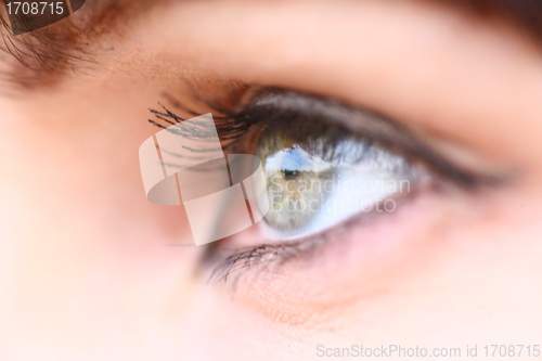 Image of macro shot of eye