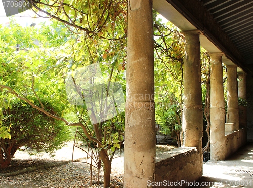 Image of Garden in Pompeii