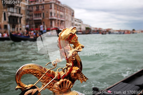 Image of Golden Skate in Venice