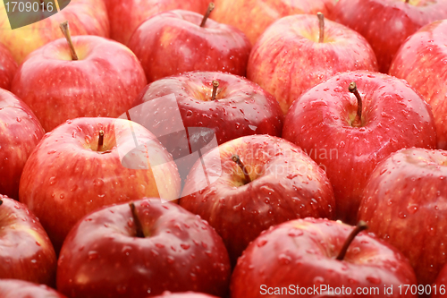 Image of apple