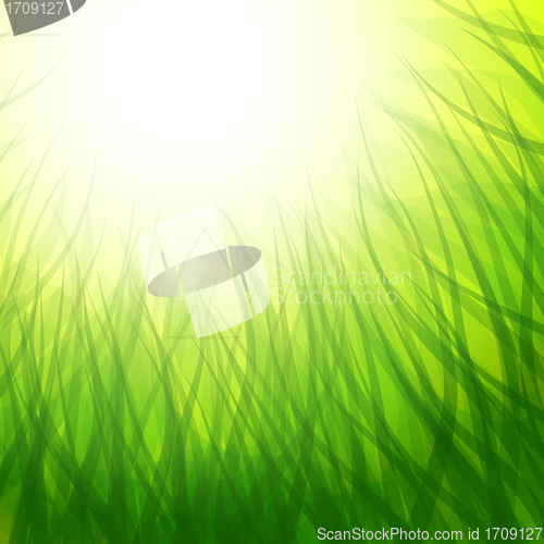 Image of background with grass