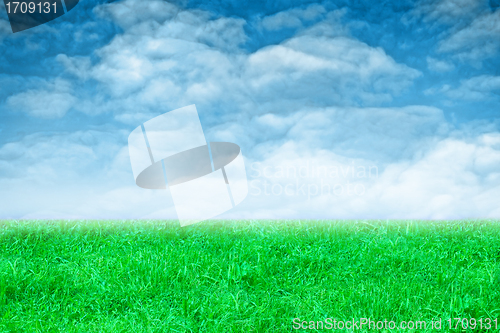 Image of landscape with green grass and sky