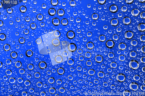 Image of drops