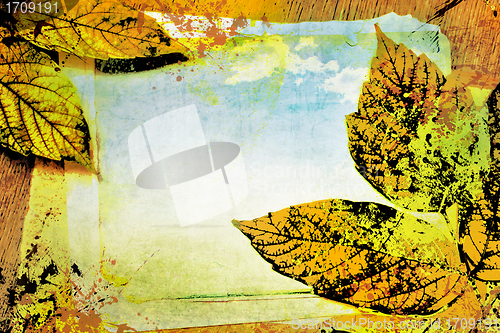 Image of Autumn