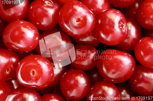 Image of Cherry