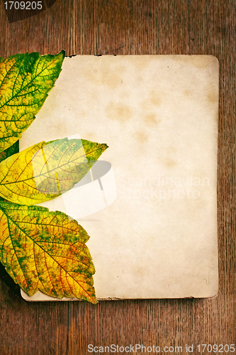 Image of autumn