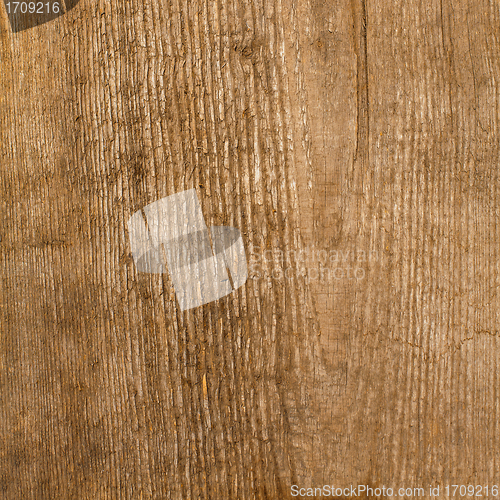 Image of the brown wood texture