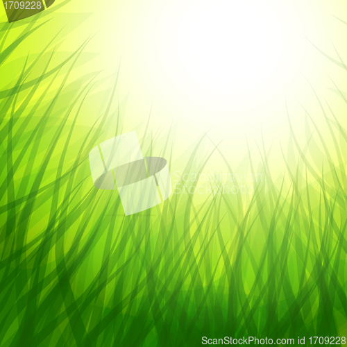 Image of background with grass