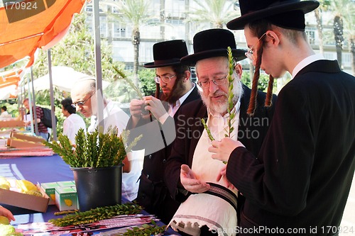 Image of Orthodox Jews preparing for Sukkoth
