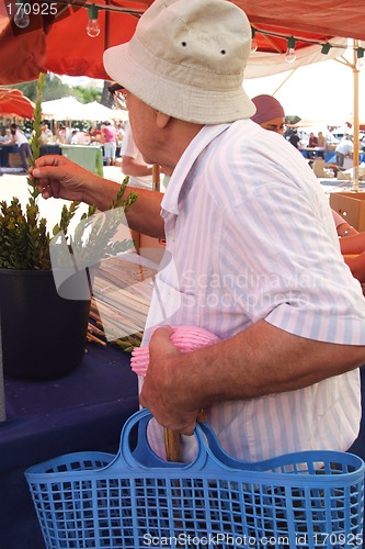 Image of Orthodox Jews preparing for Sukkoth