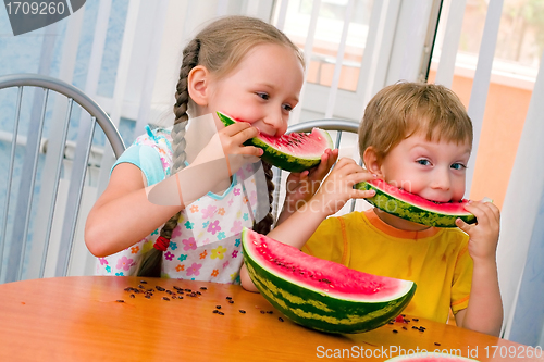 Image of watermelon