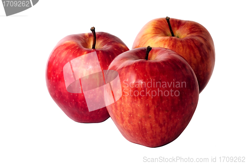 Image of Apples