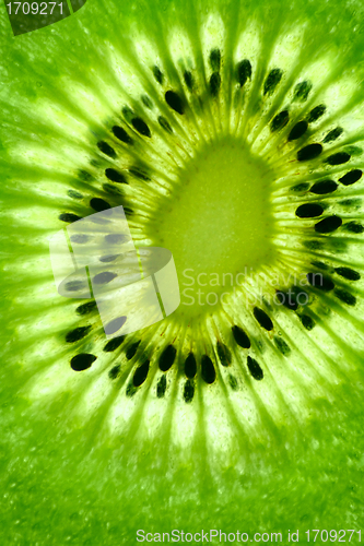 Image of kiwi