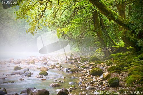 Image of mountain stream