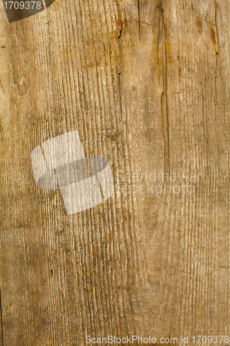 Image of the brown wood texture