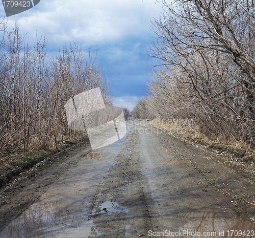 Image of Puddles on a rural road