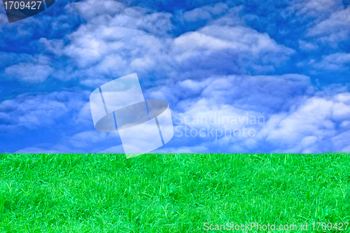 Image of landscape with green grass and sky