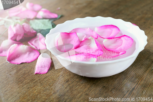 Image of rose petals