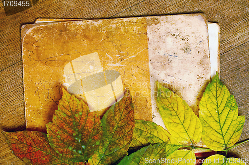 Image of autumn