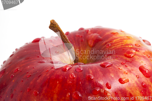 Image of red apple