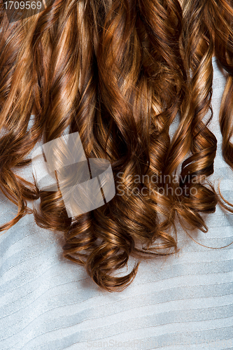 Image of curly red hair