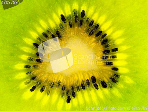 Image of Kiwi slice