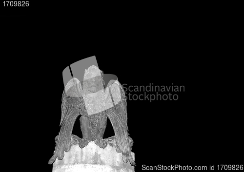 Image of Winged Lion Isolated on Black