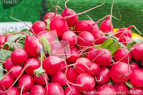 Image of Radishes