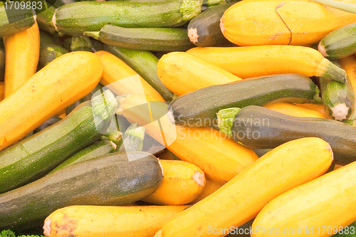 Image of Courgettes