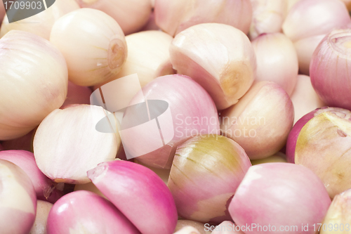 Image of Shallots