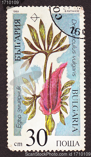 Image of Postal stamp