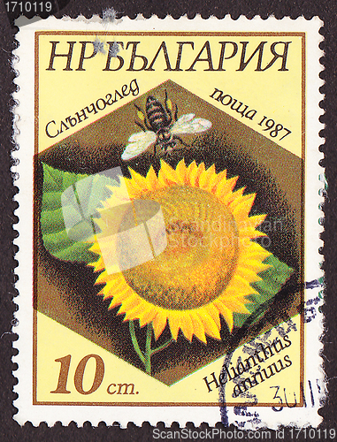 Image of Postal stamp