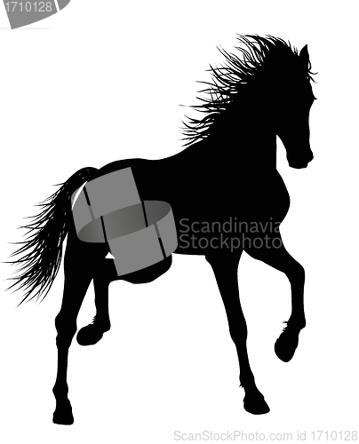 Image of Vector horse