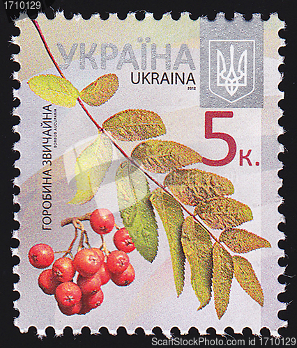 Image of Ukrainian Postal Stamp