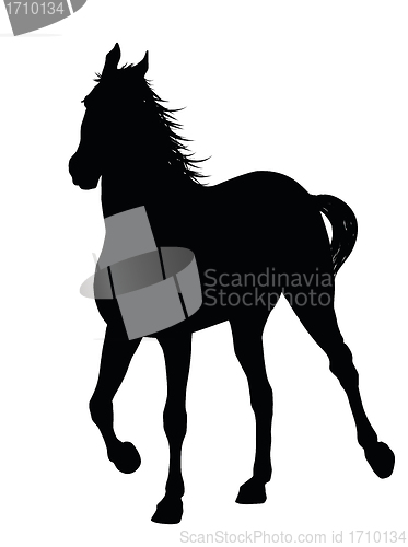 Image of Vector horse