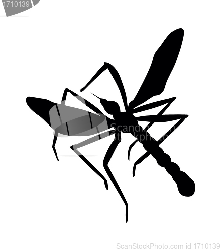 Image of Mosquito