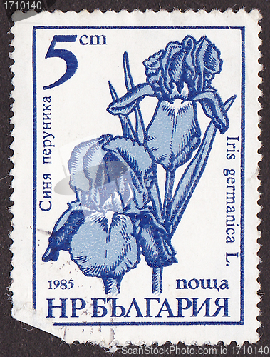 Image of Postal stamp