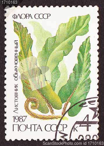 Image of Postal stamp