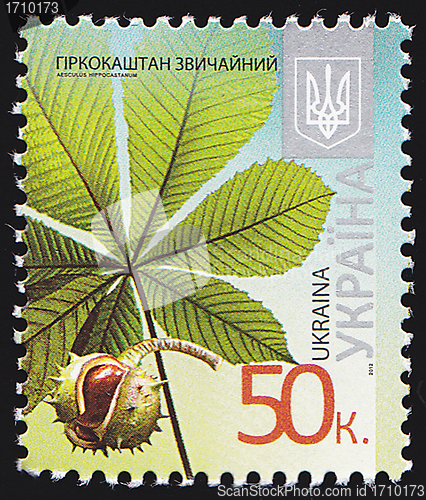 Image of Ukrainian Postal Stamp