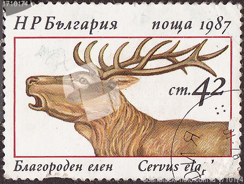 Image of Post stamp