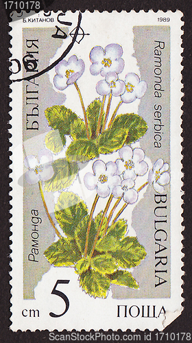 Image of Postal stamp