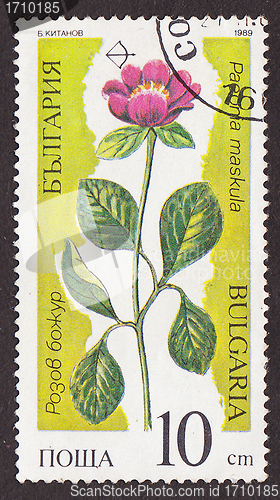 Image of Postal stamp