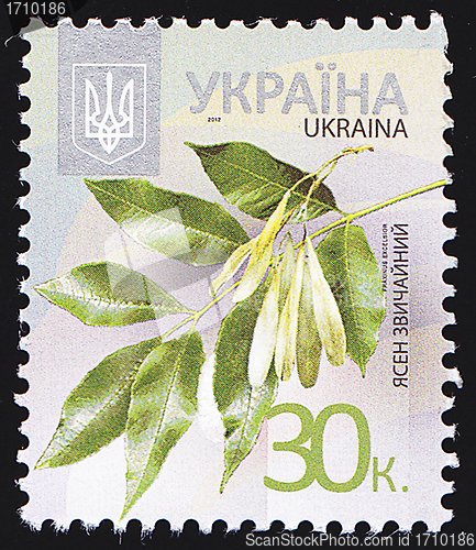 Image of Ukrainian Postal Stamp