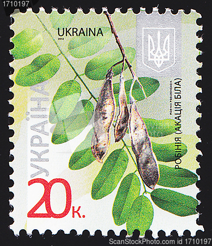 Image of Ukrainian Postal Stamp