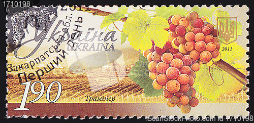 Image of Ukrainian Postal Stamp