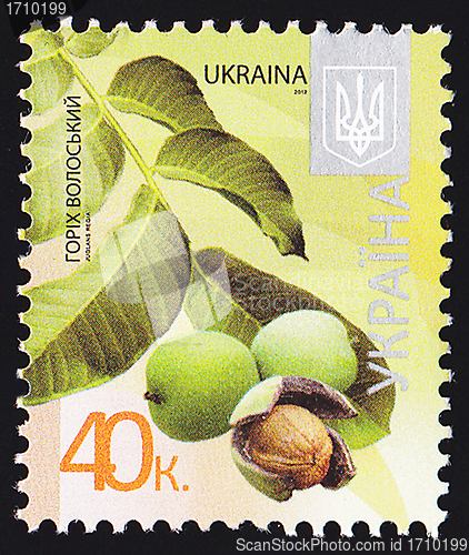 Image of Ukrainian Postal Stamp