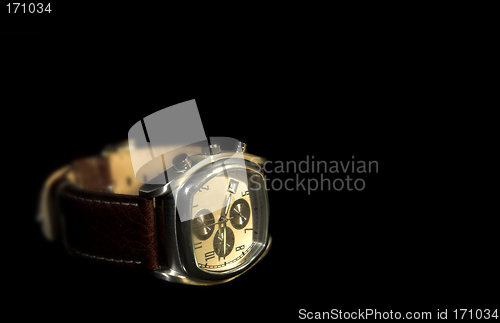 Image of Expensive watch